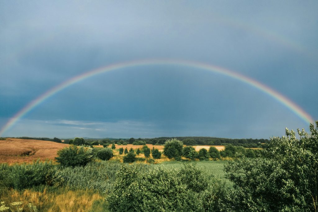 jacek poblocki jwp52hj ycw unsplash